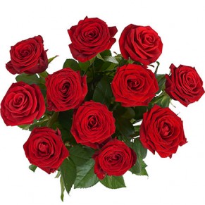 Букет  из 11 роз 60 см ГранПри