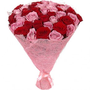 51 красная и розовая роза Аква ГранПри 60 см