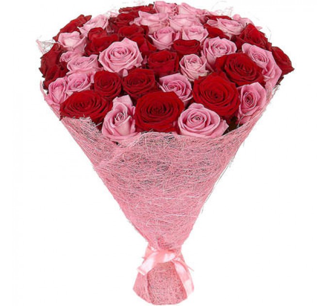 51 красная и розовая роза Аква ГранПри 60 см
