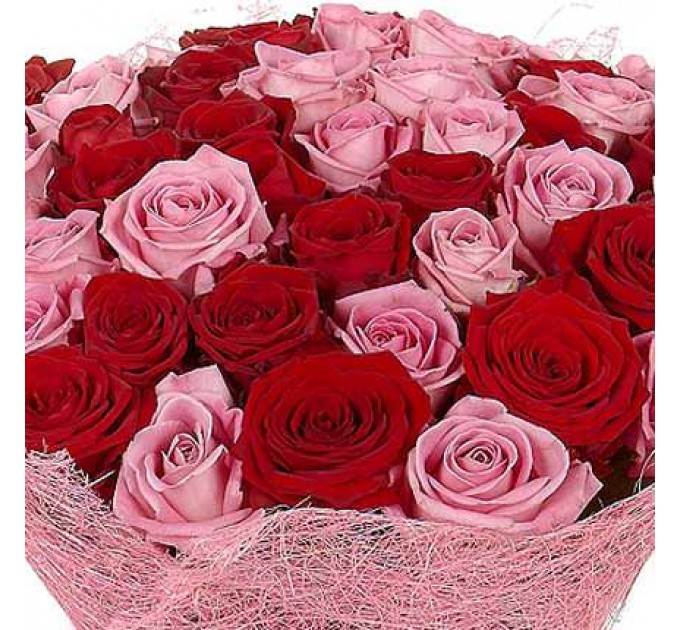 51 красная и розовая роза Аква ГранПри 60 см