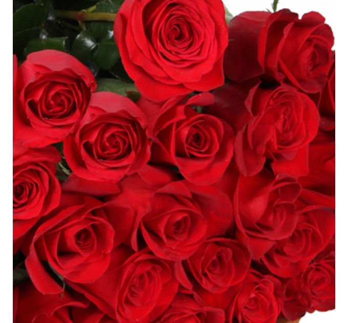 Гігантський букет троянд