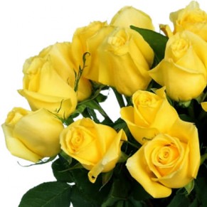 Букет жовтих троянд "Казка" Пенні Лейн 60 см 21 троянда Букет жовтих троянд "Казка" Пенні Лейн 60 см 21 троянда