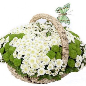 Корзина хризантем "Весенняя поляна"