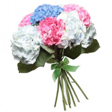 9 гортензии микс