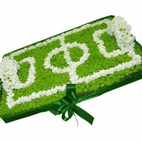 Футбольное поле