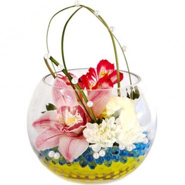 Морская жемчужина