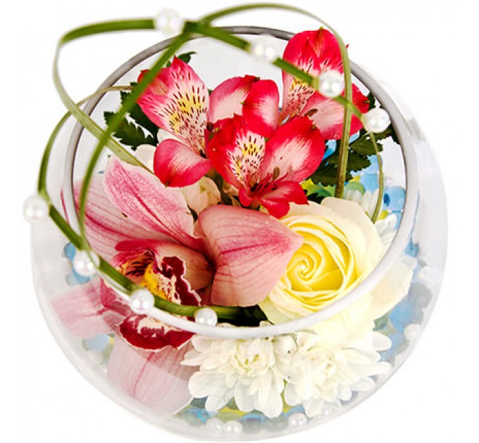 Морская жемчужина