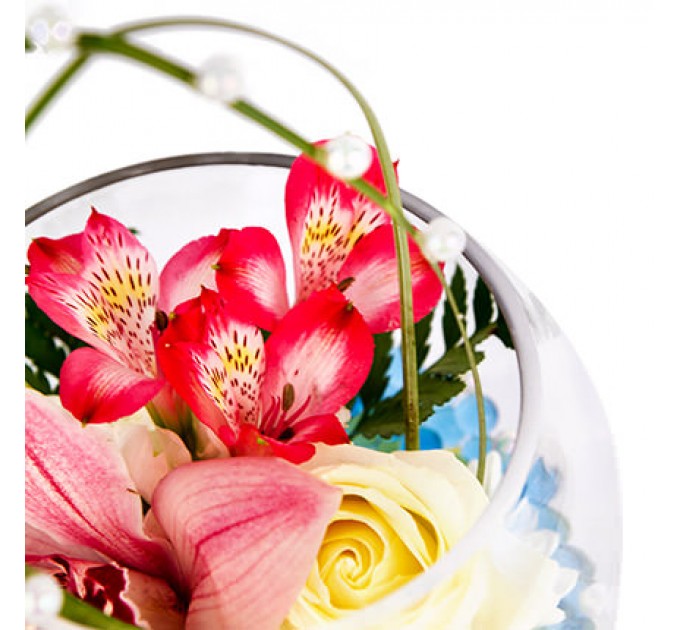 Морская жемчужина