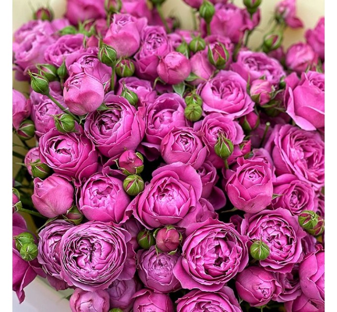 Букет гигант «Патриция»