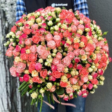 Букет из 101 розы спрей микс