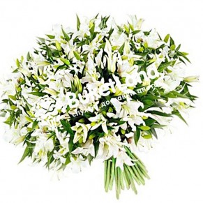 Букет из 49 лилий