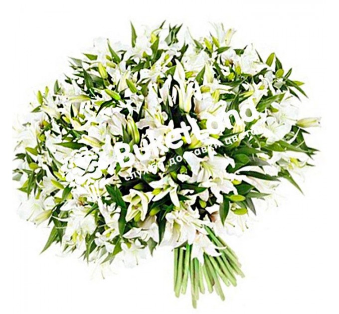 Букет из 49 лилий