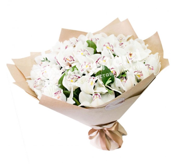 Букет из 51 орхидеи
