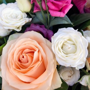 Букет квітів «Ласкаве ранок» Букет квітів «Ласкаве ранок»