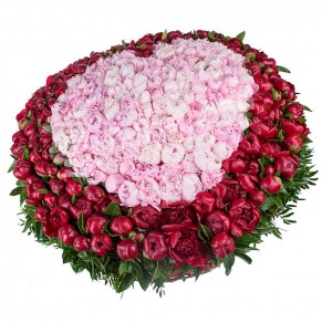 Композиция из 501 пиона