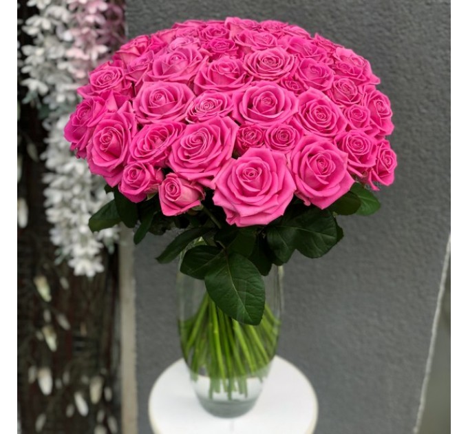 Троянда Аква 60см