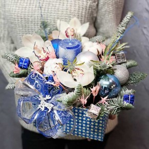 Зимняя композиция «Прохлада»