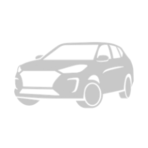 Гібіскус в горшику